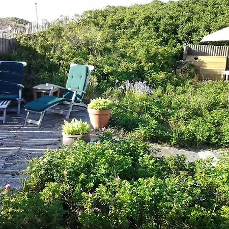 Вилла In Bergenaanzee With Swimming Pool